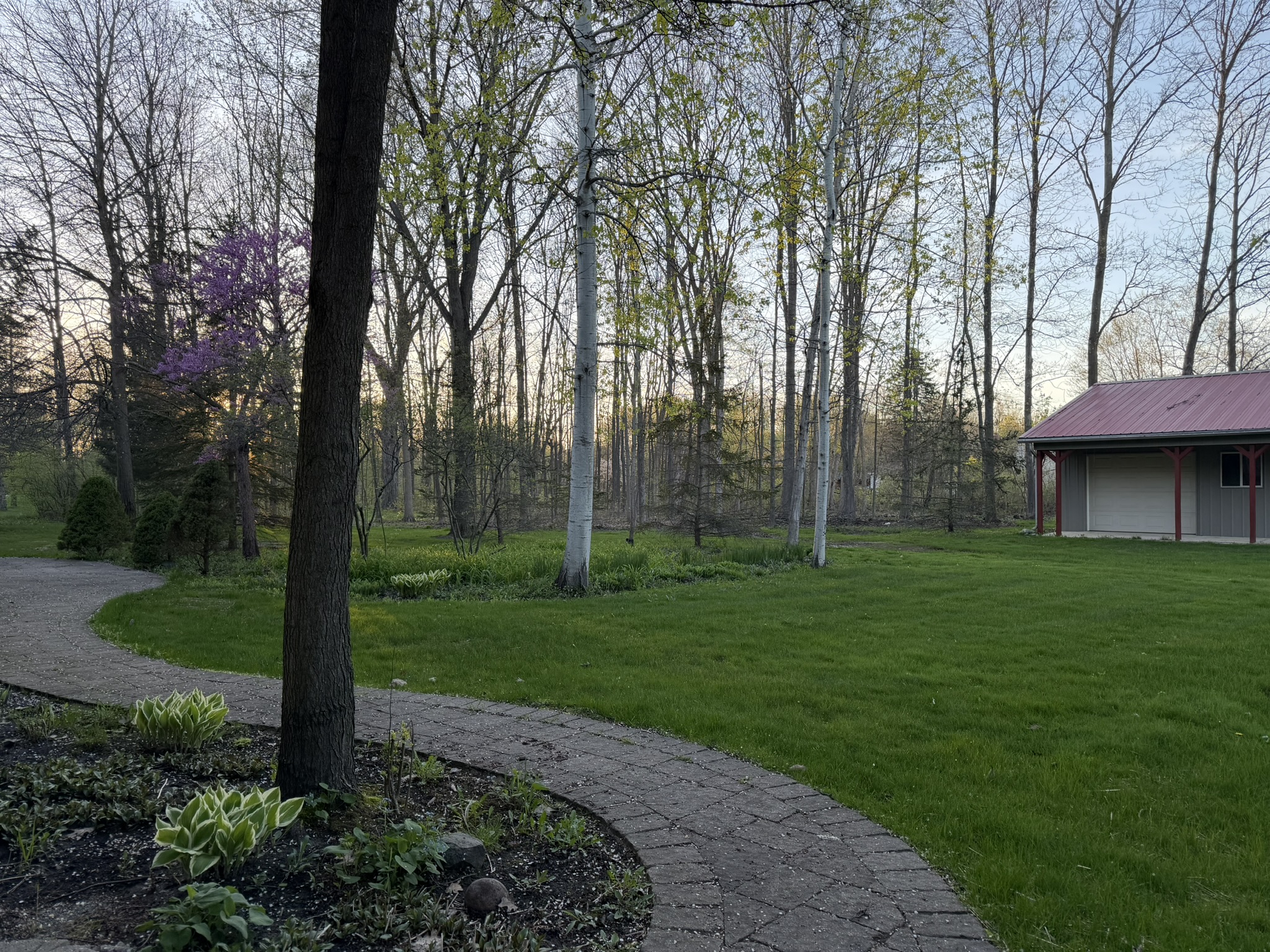Backyard path winding through landscaped grounds