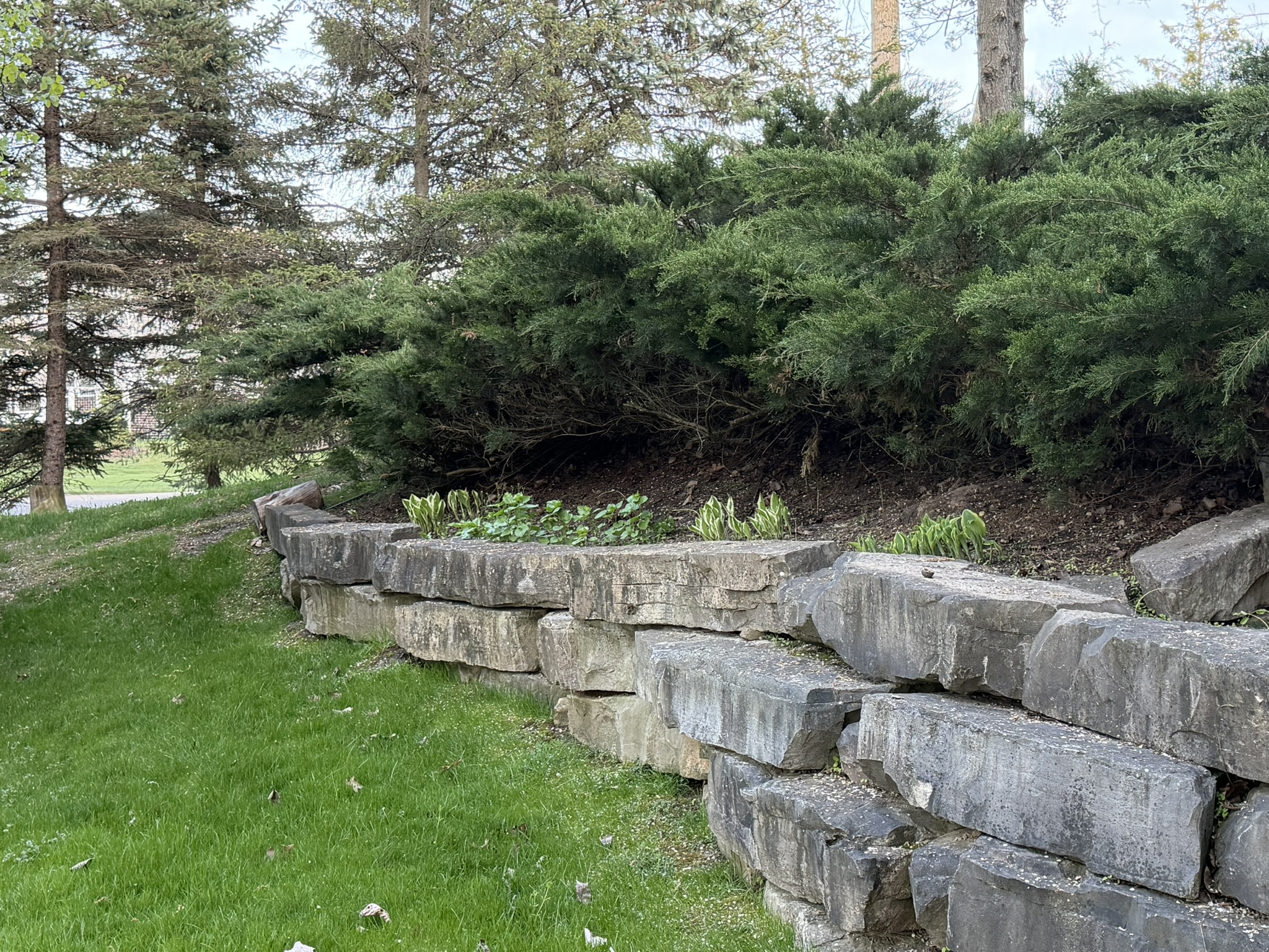 Backyard custom rock wall and landscaping