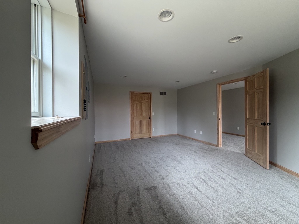 Lower level bedroom / guest suite