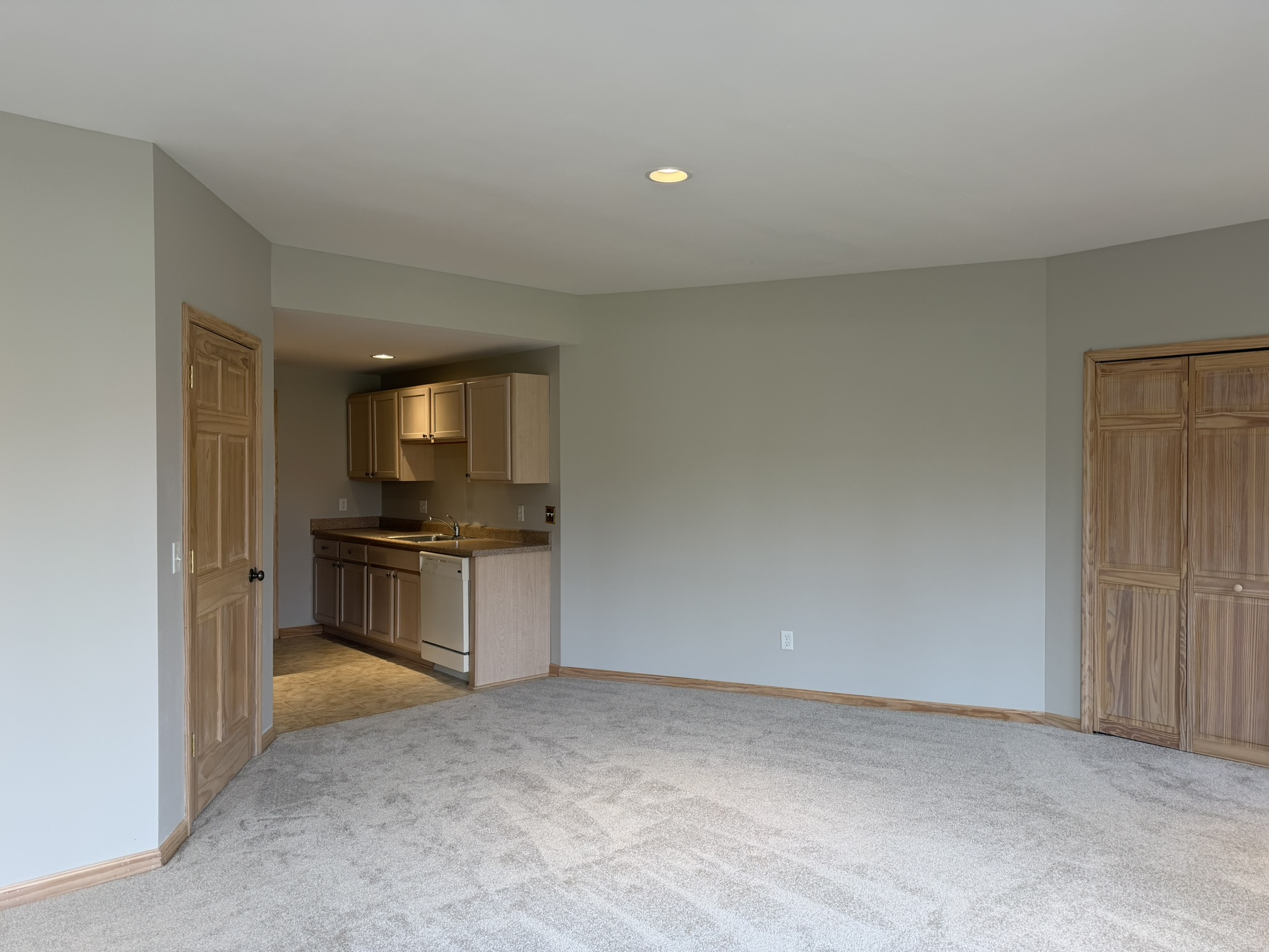 Lower level kitchen
