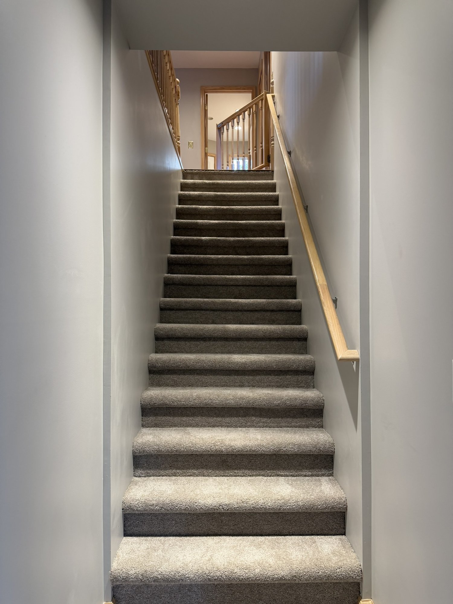 Carpeted staircase to upper level